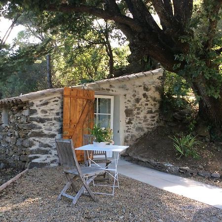 La Petite Bergerie, Les Hautes Roches Collobrières Buitenkant foto