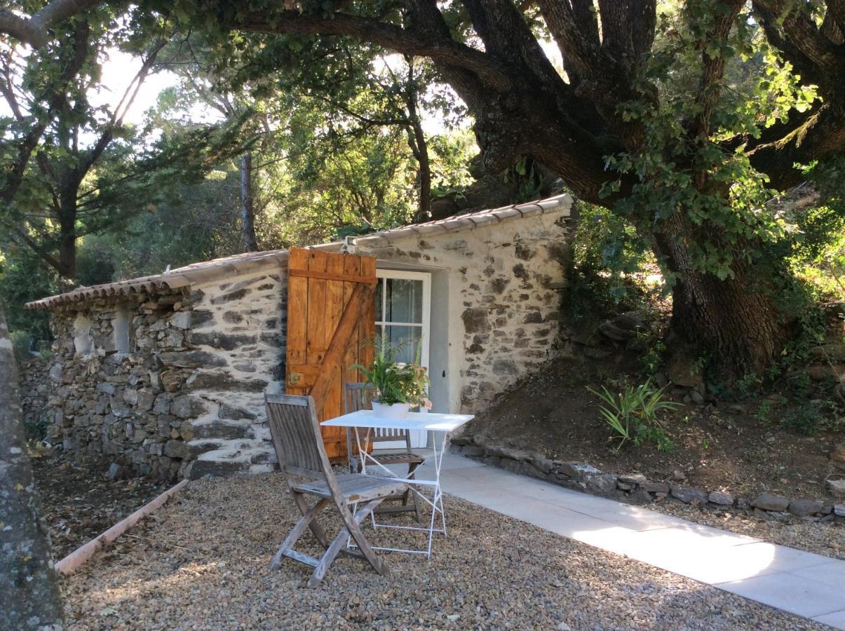 La Petite Bergerie, Les Hautes Roches Collobrières Buitenkant foto